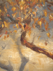 Detail of "Shadow Dance",  plein air oil painting, 9" x 9"