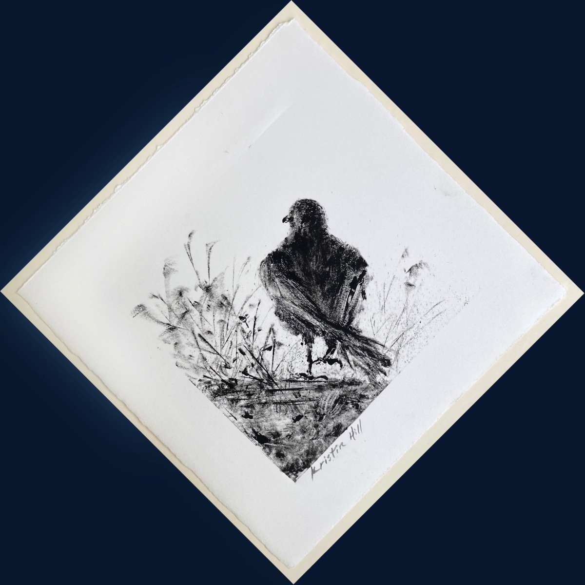 Hill.Kristin_Jolly_monotype_bdr45mfa_