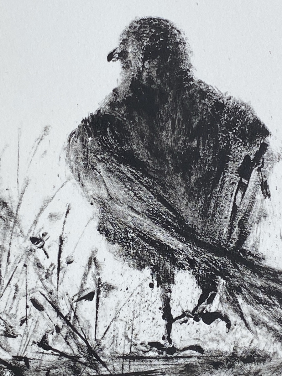 Hill.Kristin_Jolly_monotype_dtl-copy