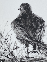Hill.Kristin_Jolly_monotype_dtl-copy